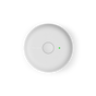 Matte White / Electric